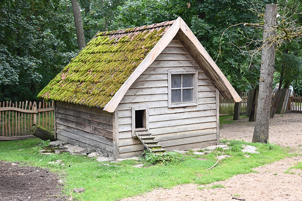 This rustic chicken coop features a simple, cabin-like structure with weathered wood siding and a charming moss-covered roof. The coop sits directly on the ground, with a small wooden ramp leading to a chicken-sized entrance. A single window provides natural light and ventilation, while the sloped roof adds to its rustic appeal. Surrounded by natural elements and a wooden fence, this coop blends seamlessly with the forested environment, creating a peaceful and earthy setting for the chickens.